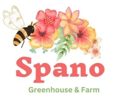https://arvadaharvestfestivalparade.com/wp-content/uploads/2023/09/Spano-greenhouse-logo.jpg
